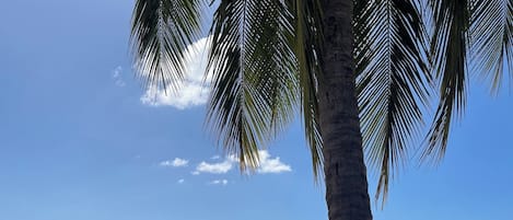 沙滩毛巾