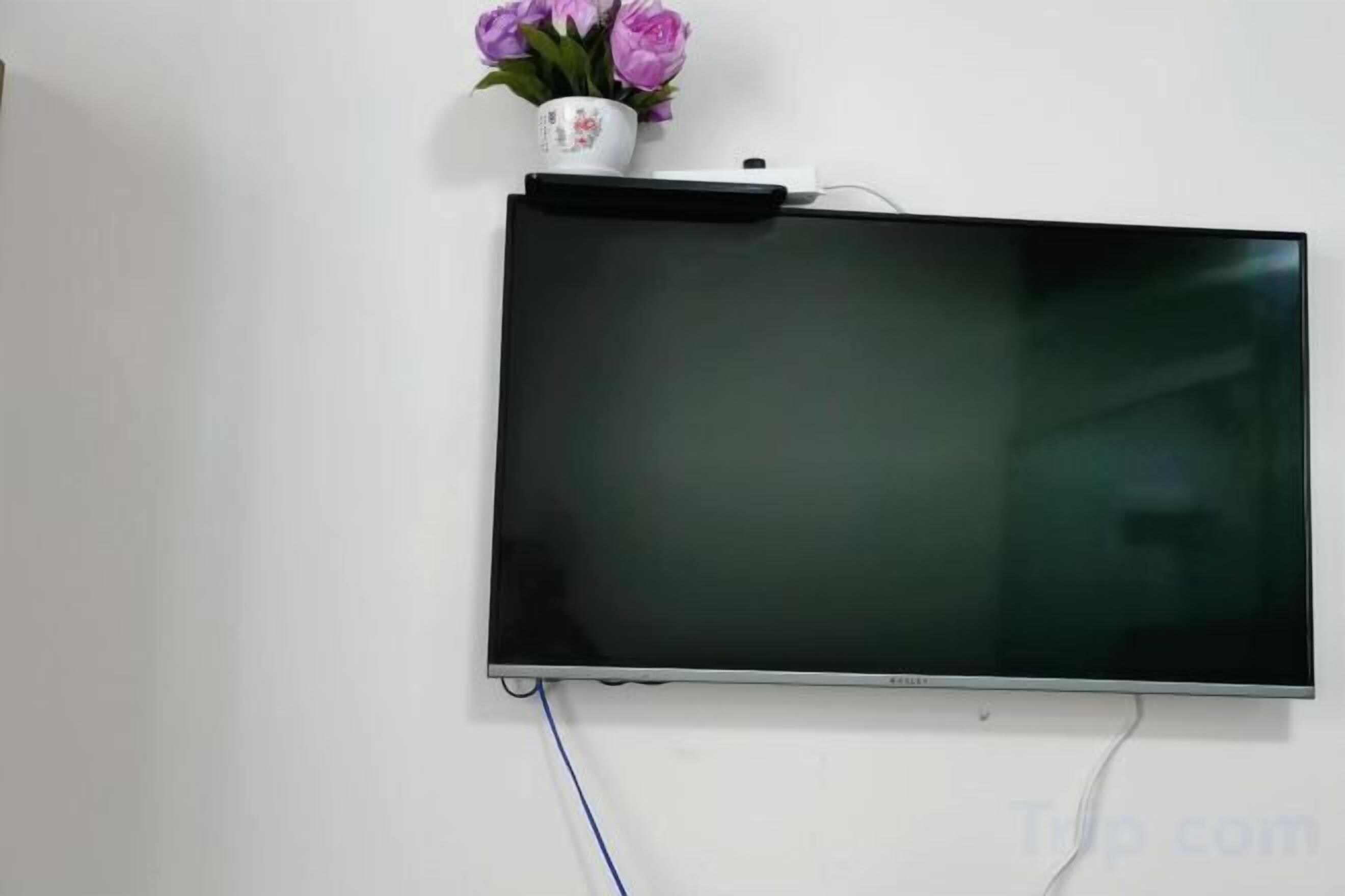 تلفاز