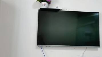 Television