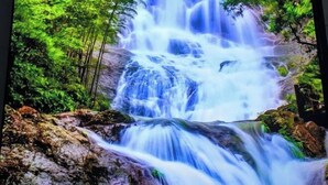A waterfall surrounded by lush greenery.