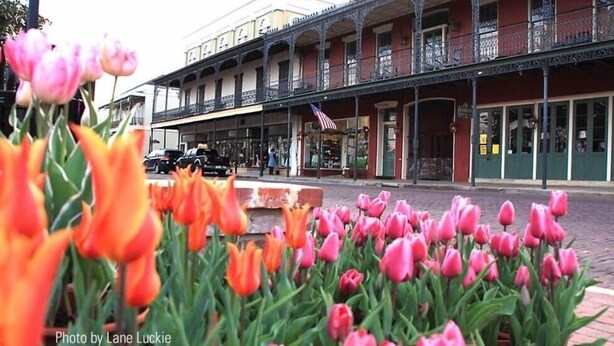Un bâtiment historique doté d’un balcon et arborant le drapeau américain, entouré de tulipes aux couleurs vives.