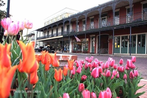 Downtown Front Street 2-bedroom townhome with balcony views 