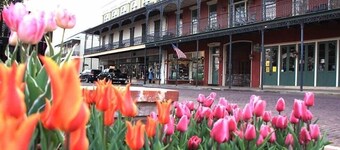 Downtown Front Street 2-bedroom townhome with balcony views 