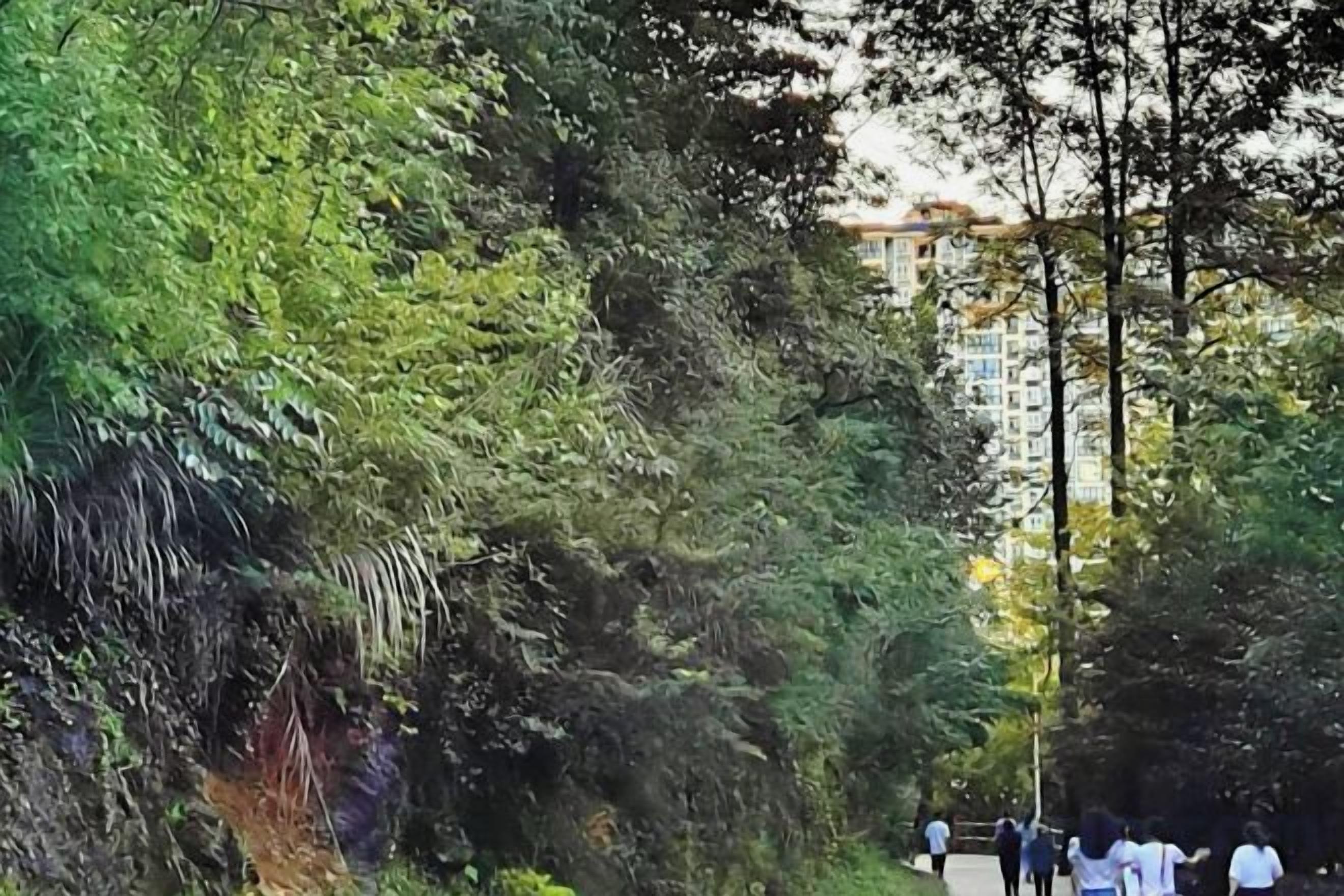 Un sendero rodeado de follaje denso que lleva a un edificio con múltiples ventanas.