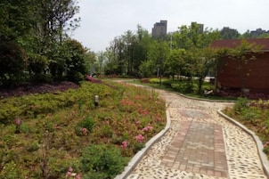 Un sendero pavimentado con un diseño decorativo, rodeado de vegetación exuberante y plantas en flor.