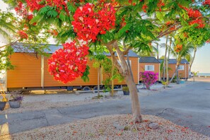 Garden - Aqua Lodges at 47th Street Gulfside (Marathon)