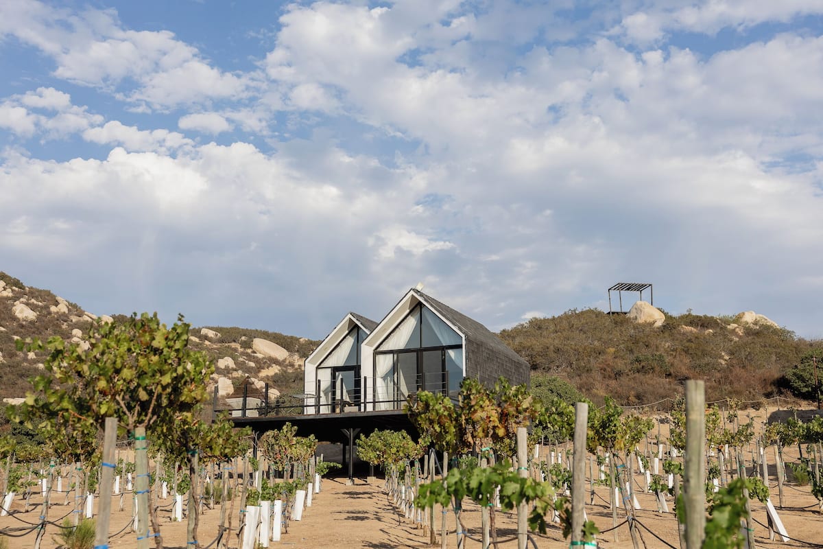 Deluxe Double Room, 2 Bedrooms, Vineyard View | Premium bedding, in-room safe, iron/ironing board, free WiFi