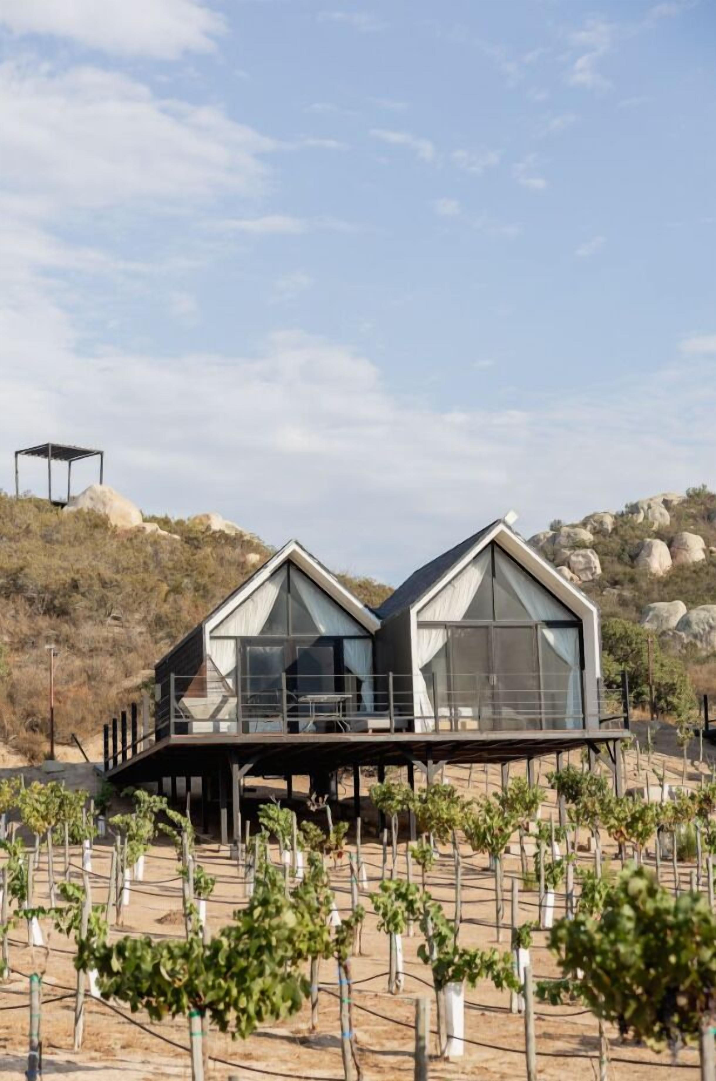 A modern building with a triangular roof and large windows, situated on a hillside with a vineyard in the foreground.
