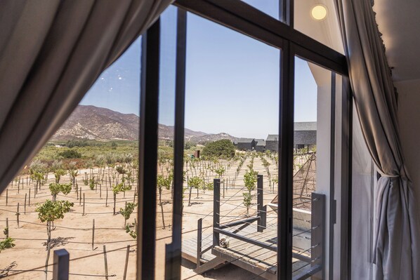 In-room safe, iron/ironing board, free WiFi, bed sheets - Oeno Wine Lodge (Valle de Guadalupe)