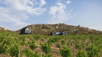 A vineyard with rows of grapevines, two modern buildings, and a hilly landscape in the background.