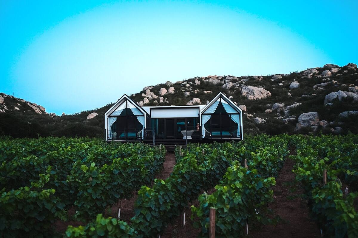 A modern villa with a central patio and two bedrooms, surrounded by a vineyard.