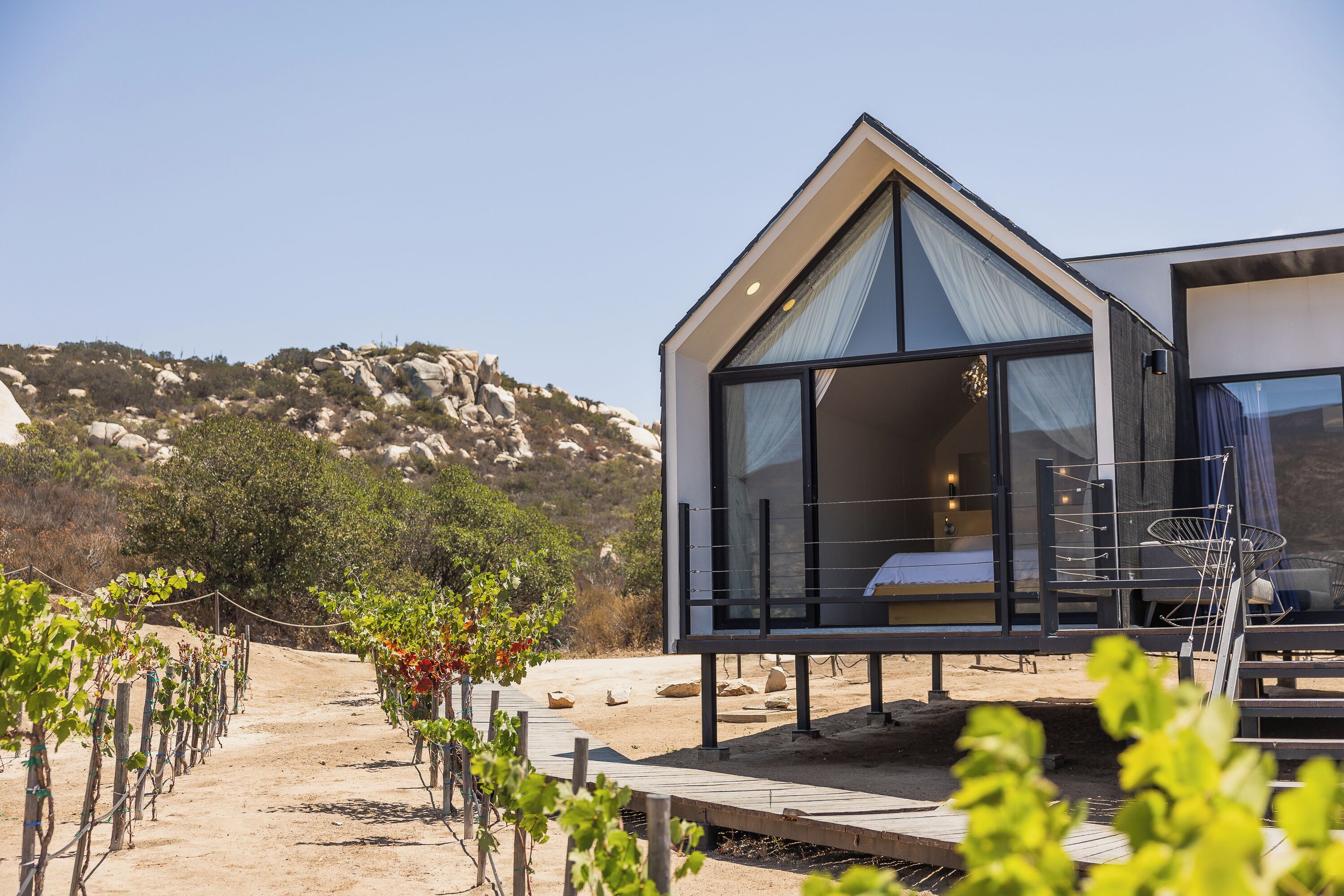 Una villa moderna con un amplio ventanal, una terraza de madera y un viñedo al fondo.