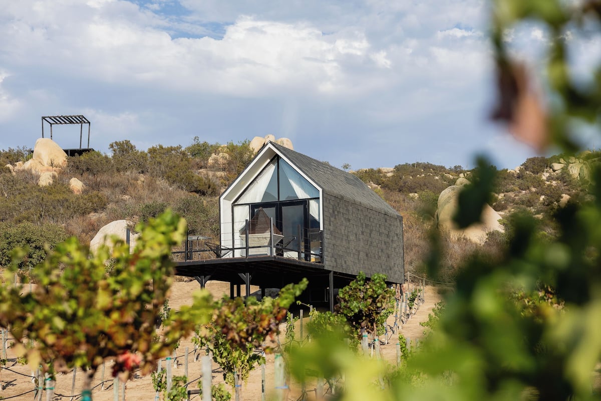 Deluxe Room, 1 Queen Bed, Vineyard View