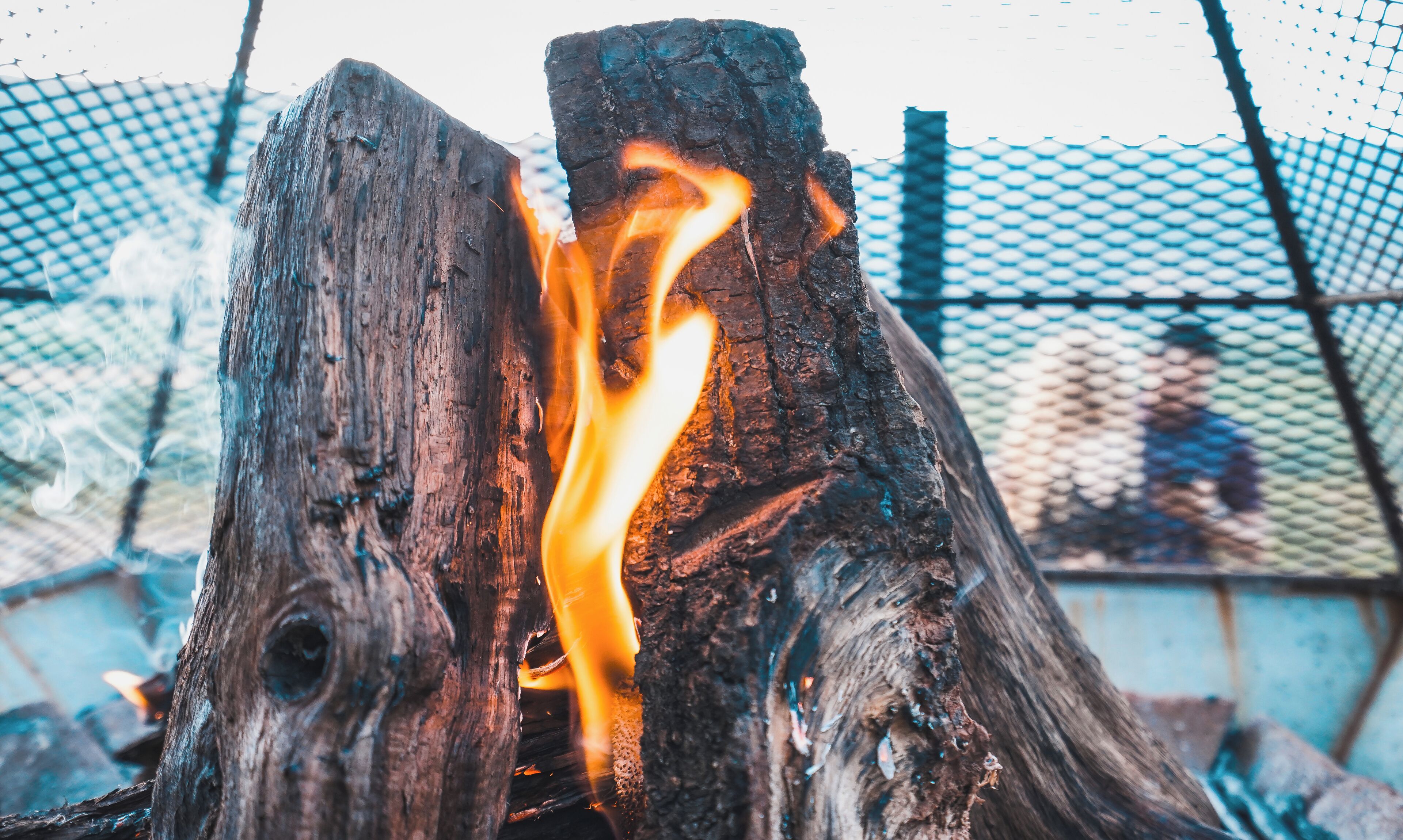 A close-up of a burning log with a mesh fence in the background.