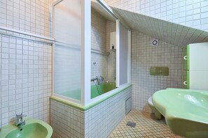 Hair dryer, bidet, towels