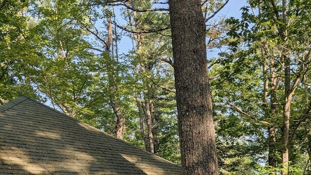 A small, single-story cabin with a door marked '12A', a window with curtains, and a wooden deck. - Cute Cabin Nested in Pine Trees_Cabin 12A (Bar Harbor)