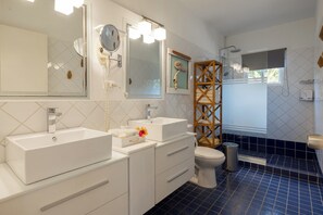 Shower, hair dryer, towels