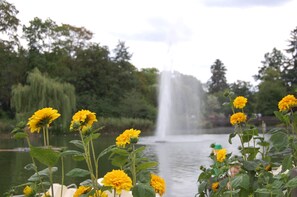 Property grounds - ROSE Apartment 50 qm with Veranda ang garden (Bad Nauheim)