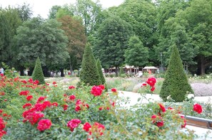 Property grounds - ROSE Apartment 50 qm with Veranda ang garden  (Bad Nauheim)