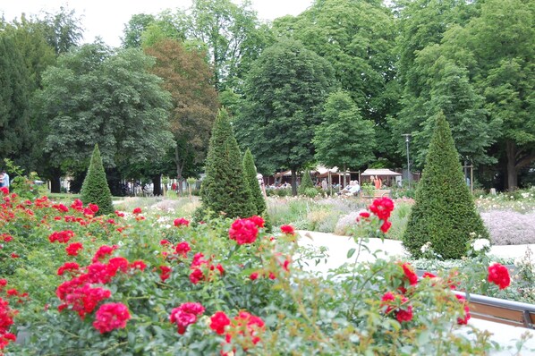 Stroll through a tranquil garden oasis with conical topiary trees and vibrant flowers.