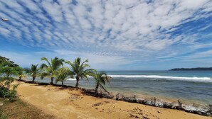Une plage bordée de palmiers, une étendue de sable et l’océan.