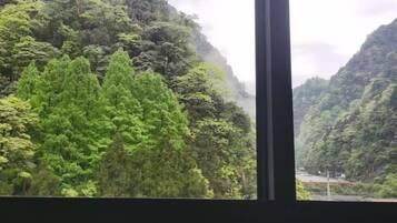 A view through a window of a lush, green mountainous landscape with dense vegetation and a road visible in the distance.