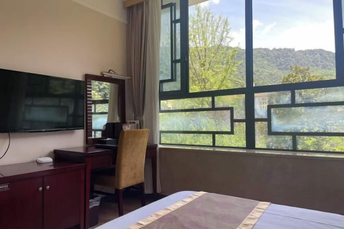 Habitación de hotel con una cama, un escritorio con silla, televisor y un ventanal con vistas a zonas verdes.