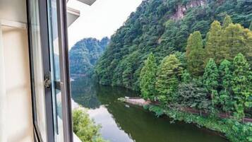 Vista desde la propiedad