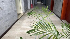 Un pasillo con planta, paredes de mármol y una puerta roja.