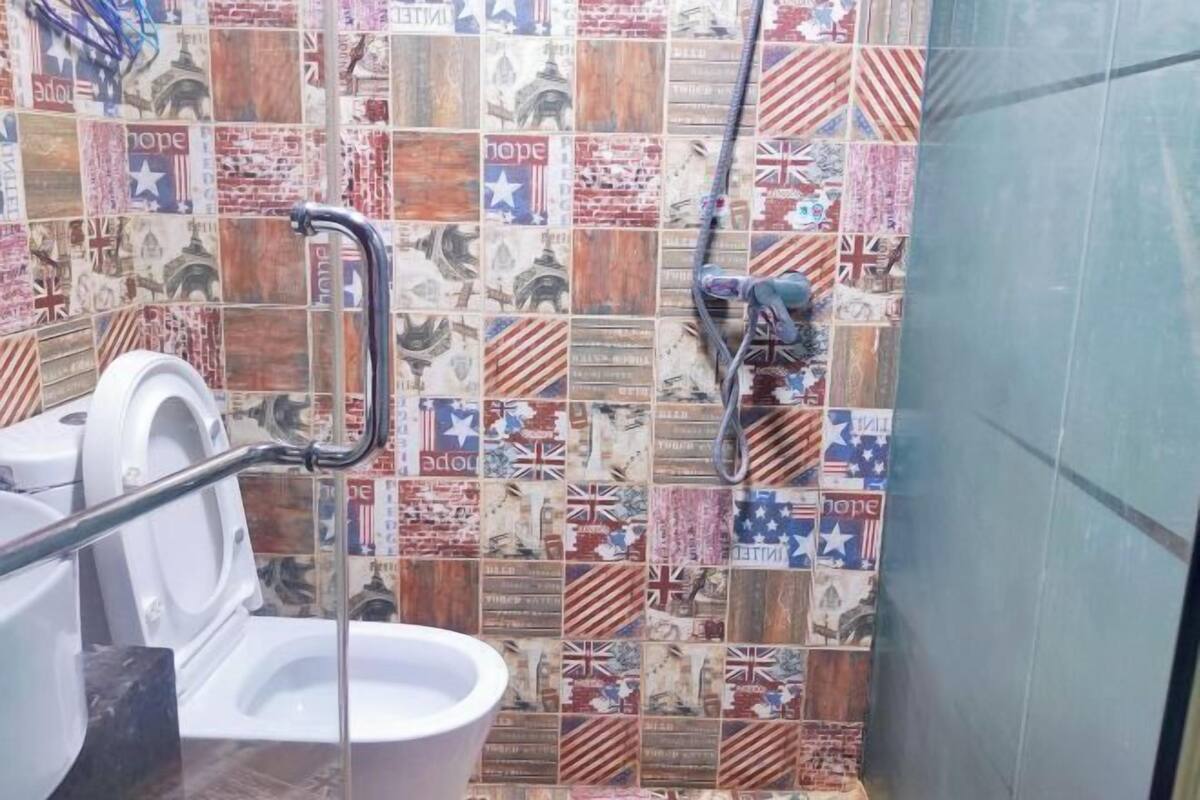 A bathroom with a toilet, a shower, and a wall decorated with various flags.