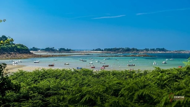 Blick auf die Küste mit Booten auf dem Wasser, einem Sandstrand und üppigem Grün im Vordergrund.