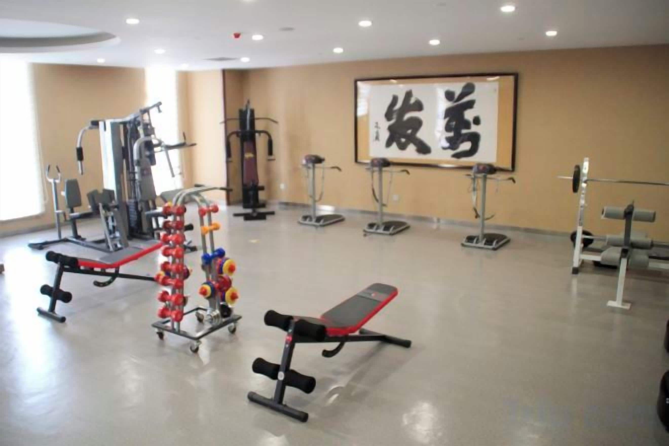 Un gimnasio con diversos equipos de ejercicio, que incluyen máquinas de pesas y pesas libres.
