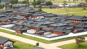Un complejo tradicional japonés con varias construcciones, caracterizado por techos de tejas oscuras y estructuras de madera.