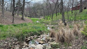A natural landscape with a small stream, trees, and a red building in the background.