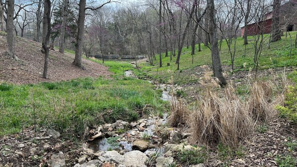Property grounds