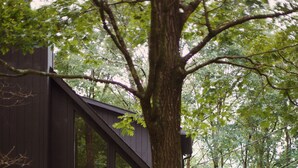 Une cabane en bois sombre, dotée de grandes fenêtres et entourée d’arbres.