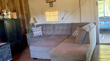 Smart TV, caminetto, libri