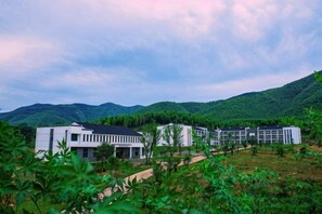 Unclassified image, 3 of 60, button - Shikang Shiwai Taoyuan Leisure Tourist Resort (Guangde)