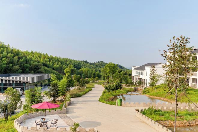 A pathway leading to a building with a modern design, surrounded by greenery and a small body of water.