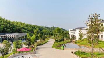 A pathway leading to a building with a modern design, surrounded by greenery and a small body of water.