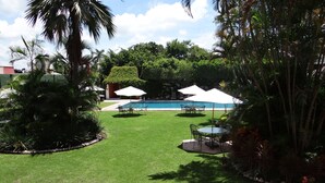 Un césped bien cuidado con una piscina, rodeado de palmeras y con sombrillas.