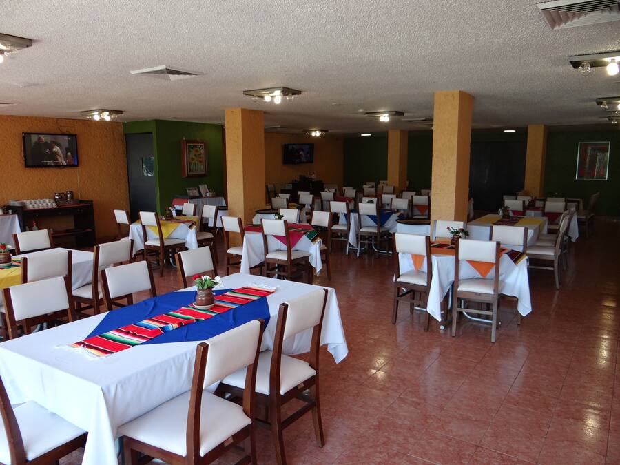 Un amplio comedor con varias mesas y sillas, paredes verdes y luces de techo.