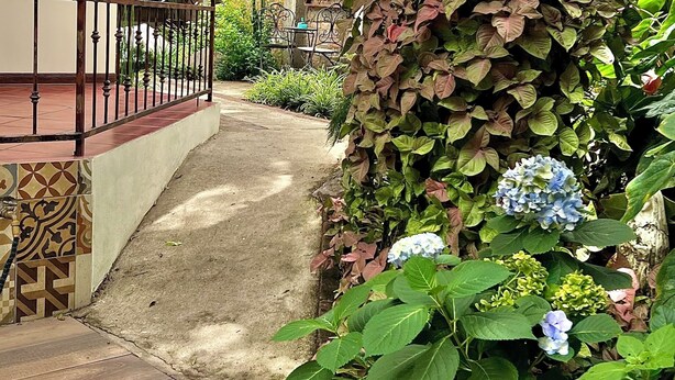Una escalera que lleva a la entrada de un edificio, rodeada de abundante vegetación y una planta colgante.