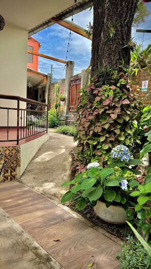 Una escalera que lleva a la entrada de un edificio, rodeada de abundante vegetación y una planta colgante.