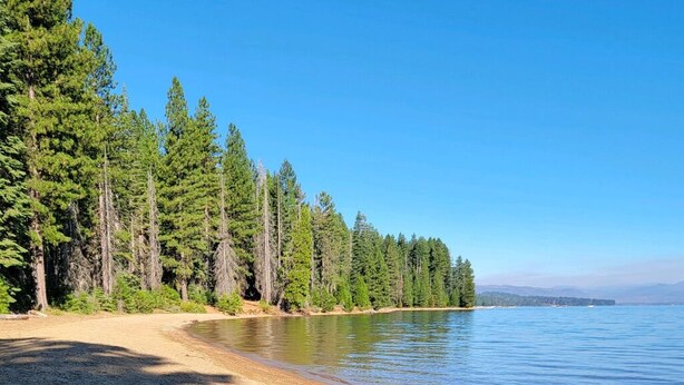 A gravel beach with dense coniferous trees on one side and a calm lake extending to the horizon. - Lake Almanor West home in a peaceful setting just minutes from the lake (Chester)