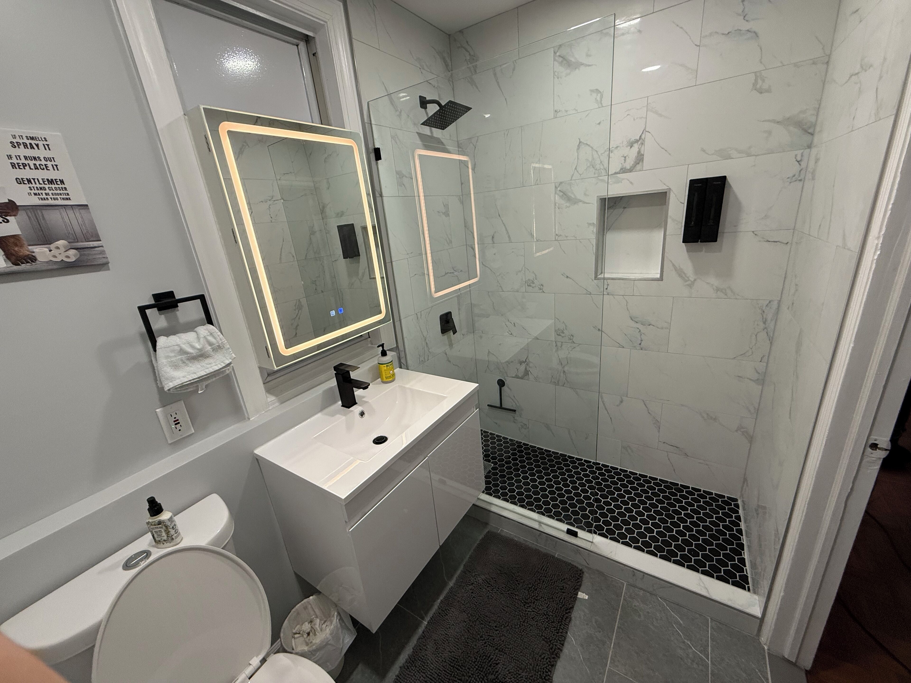 Shower, hair dryer, soap