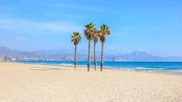 A beach with palm trees, a clear sky, and distant mountains. - Studio Glamour Rose Alicante (Alicante)