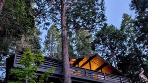 Una casa moderna con un gran árbol frente a ella, un balcón y una entrada bien iluminada.