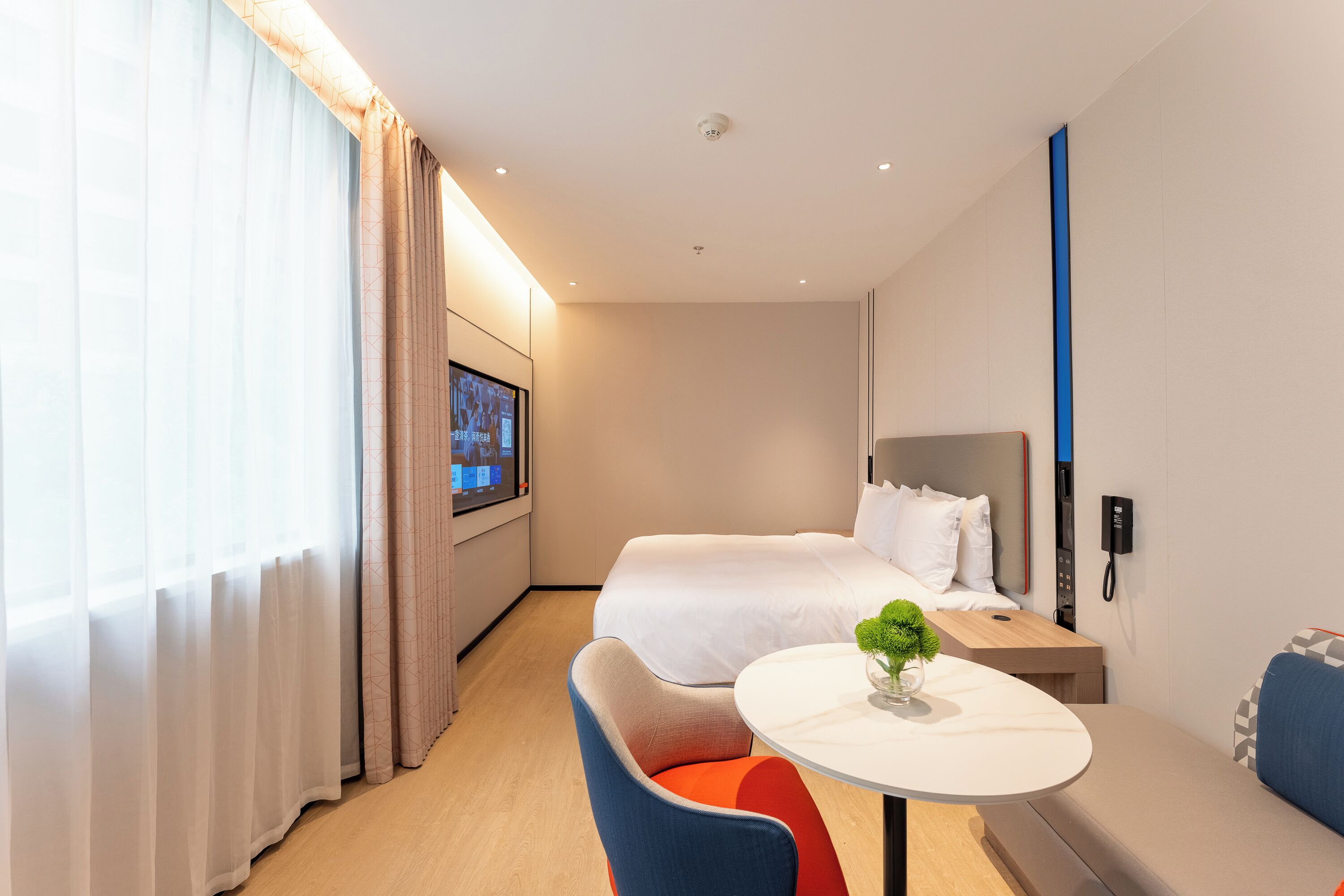 A hotel room with a bed, a desk, a chair, a small table with a plant, a TV, and a phone on the wall.