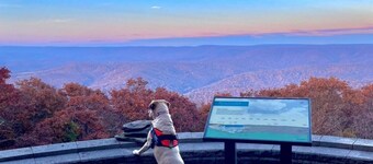 Mountain Gem at Blue Knob
